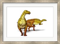 Framed Nanyangosaurus