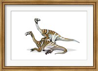 Framed Nanshiungosaurus