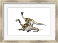 Framed Nanshiungosaurus