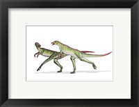 Framed Lesothosaurus