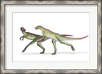 Framed Lesothosaurus