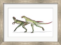 Framed Lesothosaurus