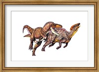 Framed Gorgosaurus