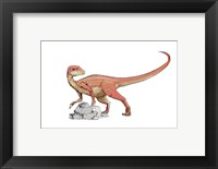 Framed Abrictosaurus