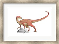 Framed Abrictosaurus