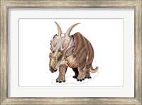 Framed Achelousaurus