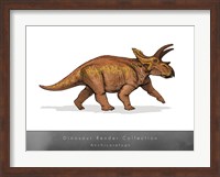 Framed Anchiceratops