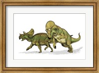 Framed Avaceratops