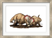 Framed Centrosaurus