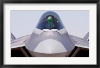 Framed F-22 Raptor