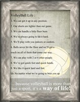 Framed Volleyball Life