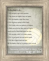 Framed Volleyball Life