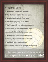 Framed Volleyball Life