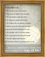 Framed Volleyball Life