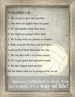 Framed Volleyball Life