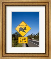 Framed Koala sign on the road, Queensland, Australia