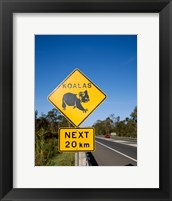 Framed Koala sign on the road, Queensland, Australia