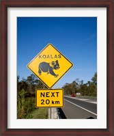 Framed Koala sign on the road, Queensland, Australia