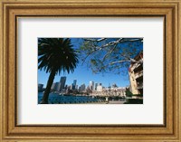 Framed Buildings on the waterfront, Sydney, New South Wales, Australia