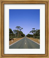 Framed Road passing through a forest, Western Australia, Australia