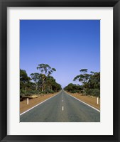 Framed Road passing through a forest, Western Australia, Australia