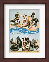 Framed Forepaugh & Sells Brothers