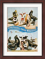 Framed Forepaugh & Sells Brothers