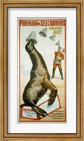 Framed Sea Lion Catching Hats