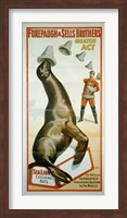 Framed Sea Lion Catching Hats