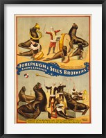 Framed Sells Brothers Sea Lion Circus