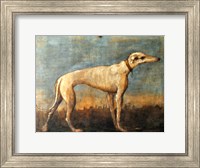 Framed Greyhound, Giandomenico Tiepolo