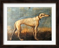 Framed Greyhound, Giandomenico Tiepolo