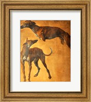 Framed Study of Greyhounds