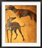 Framed Study of Greyhounds