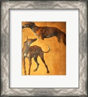 Framed Study of Greyhounds