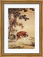 Framed Ten Prized Dogs Chinese Greyhound