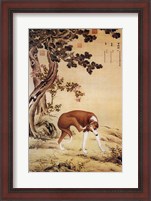 Framed Ten Prized Dogs Chinese Greyhound