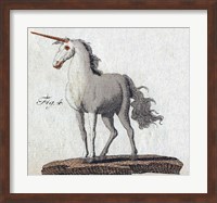 Framed Bertuch Unicorn