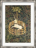 Framed Unicorn in Captivity