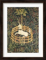 Framed Unicorn in Captivity