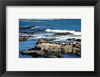 Framed Seals on rocks at the coast, California, USA
