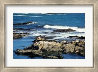 Framed Seals on rocks at the coast, California, USA