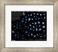 Framed Lifestyles of the Galaxies Next Door