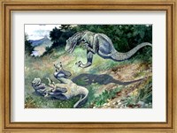 Framed Tyrannosaurus Frolicking With Another