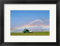 Framed Rainbow seen under the spray from sprinkler in a vegetable field, Florida, USA