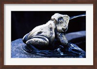 Framed Canada, British Columbia,  Butchart Gardens, sculpture frog, fountain