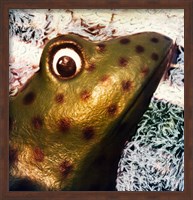 Framed Profile of playground frog