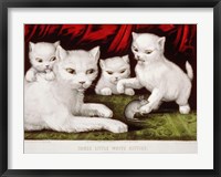 Framed Three Little White Kitties