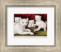 Framed Three Little White Kitties