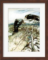 Framed Two Corbies